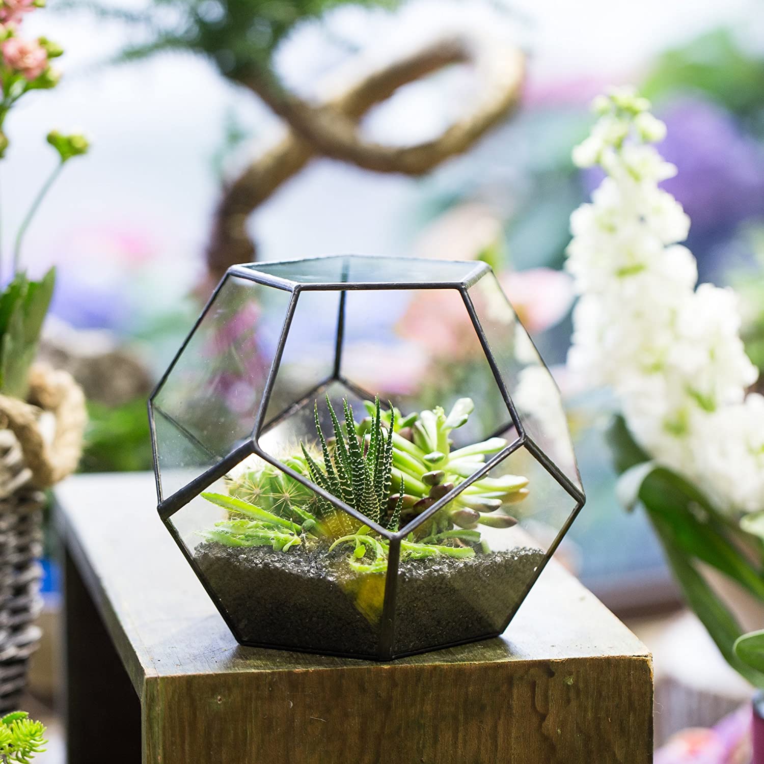 Globe style terrarium container