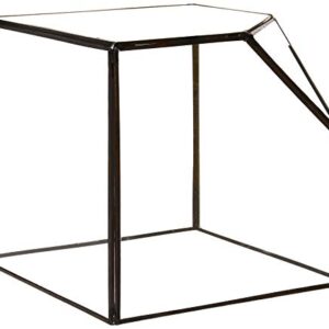 Geometric Glass Terrarium, Heptahedron