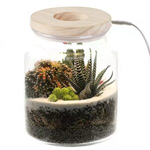 LECANI Plant Propagation Station