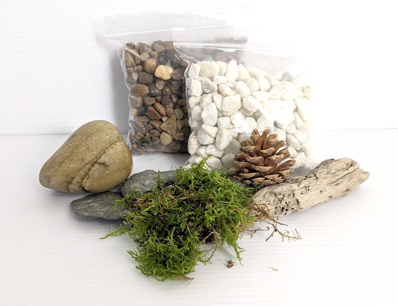A closed moss terrarium with decorative pebbles and moss
