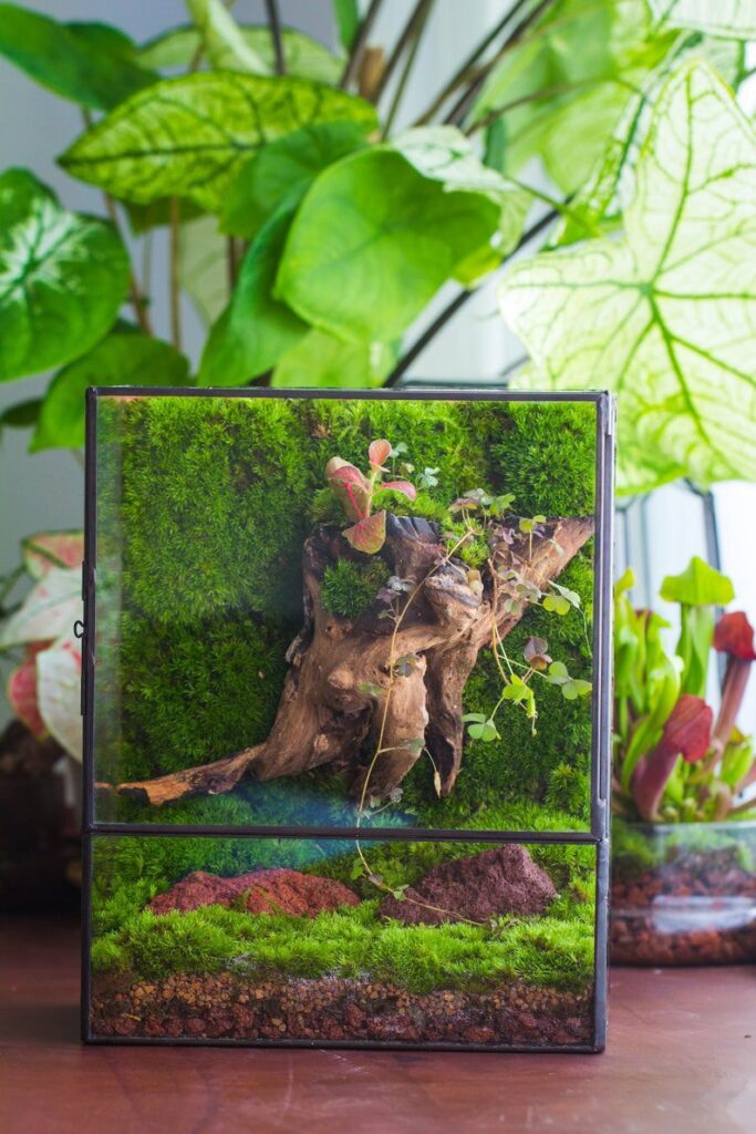 NCYP Close Geometric Glass Terrarium with Door, Tin Sealed  Rectangle Tall Moss wall Planter for Moss Wall, Fern, Landscape