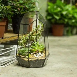 Open Large NCYP Geometric Glass Terrarium Irregular Tall Planter Succulent Cacti Fern Flower Pot Container Tabletop Bonsai Centerpiece