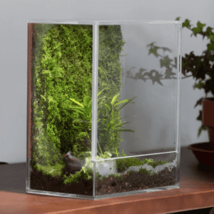 Glass terrarium