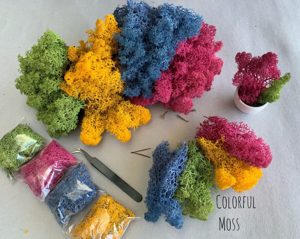Preserved botanicals used in resin nature jewellery