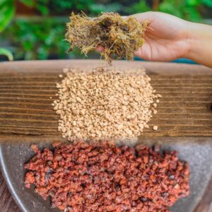 Basic Moss Terrarium Planting Kit (Substrate Layers)